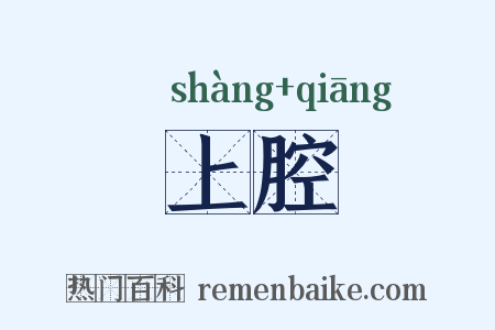 上腔是什么意思的图片
